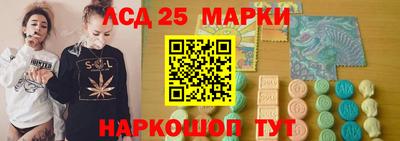 крисы Можга