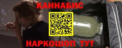 крисы Можга