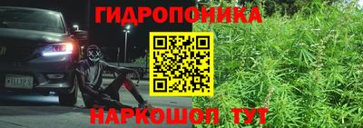 ПСИЛОЦИБИНОВЫЕ ГРИБЫ Нальчик