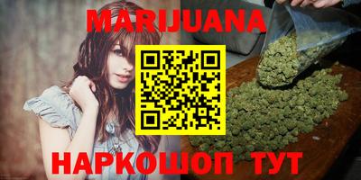 крисы Можга