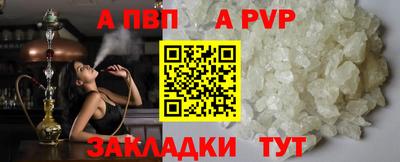 крисы Можга