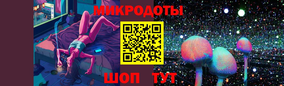 Галлюциногенные грибы GOLDEN TEACHER  Вход с VPN  Ставрополь  Галлюциногенные грибы Psilocybe 